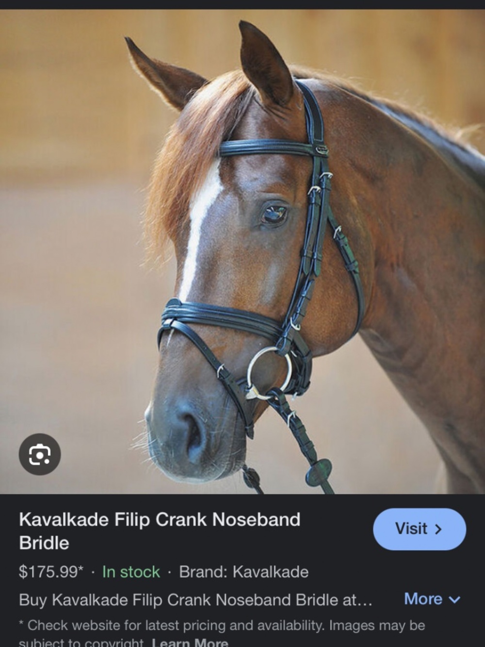 Large pony Kavalkade dressage bridle